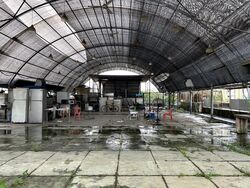 Ang Mo Kio Street 65 (D20), Factory #552705751